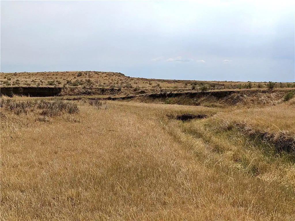 Trophy Elklands - View 3